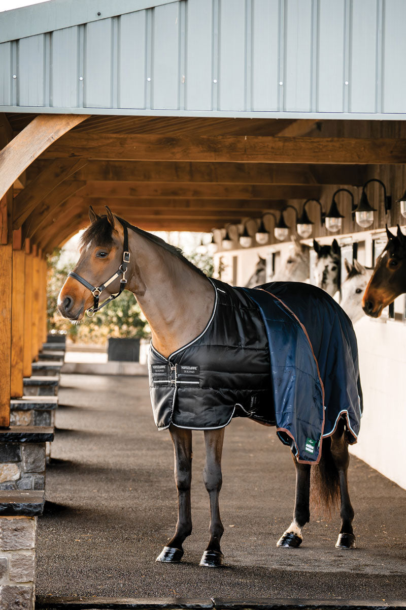 Horseware Easy-Layer Stable 100g Black/Black & Silver