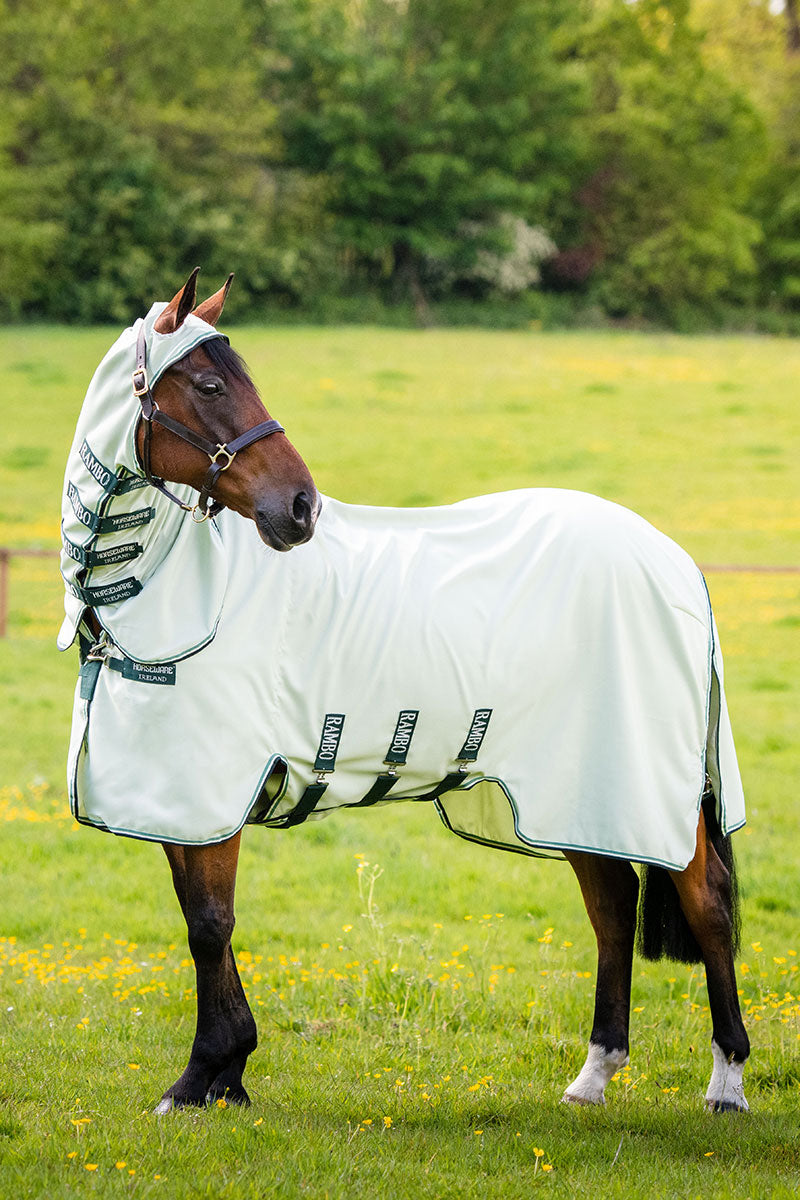 Rambo Hoody Green/Sage, Beige and Green