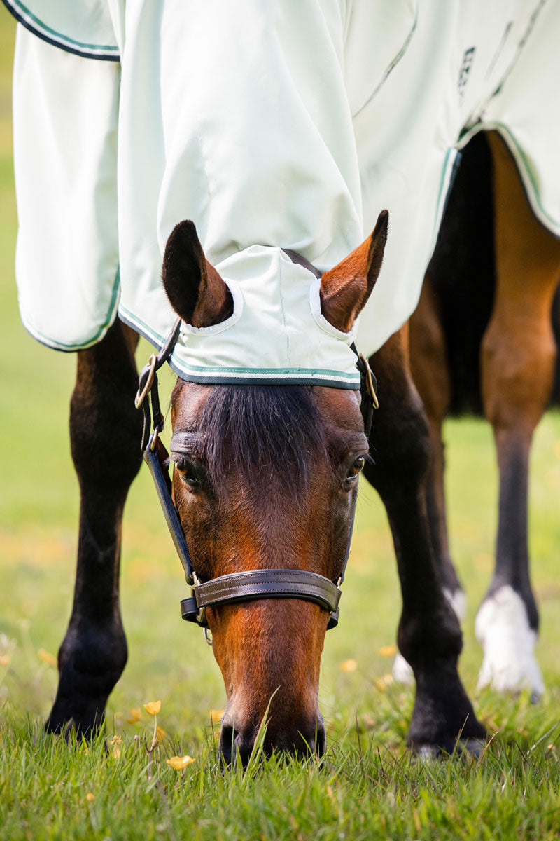 Rambo Hoody Green/Sage, Beige and Green