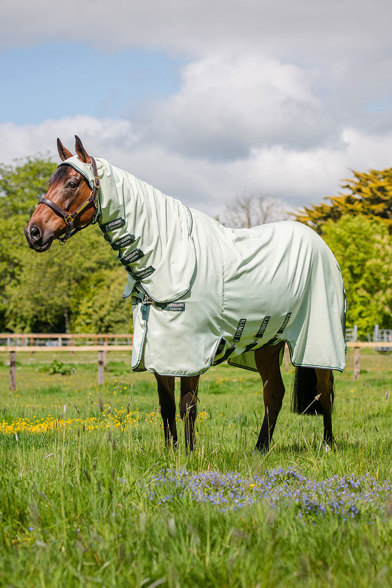 Rambo Hoody Green/Sage, Beige and Green