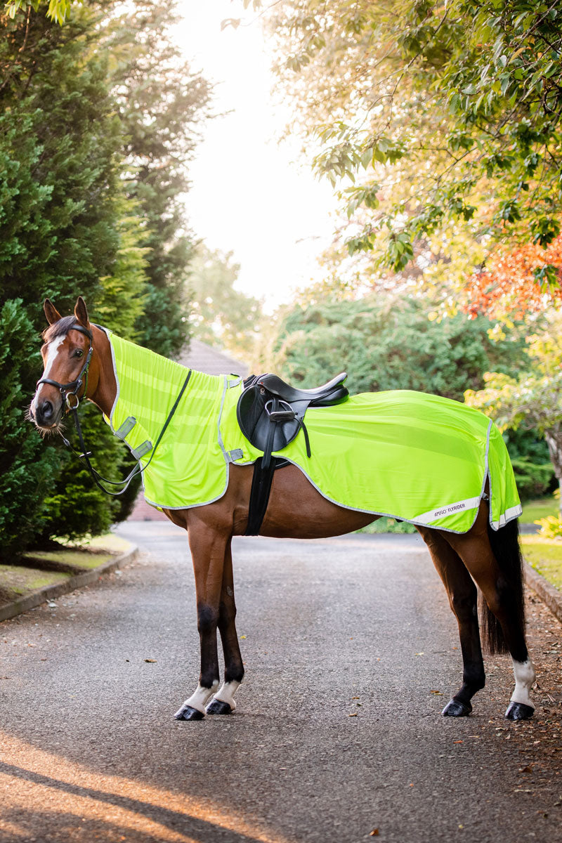 Amigo Fly Rider 0g Flourescent