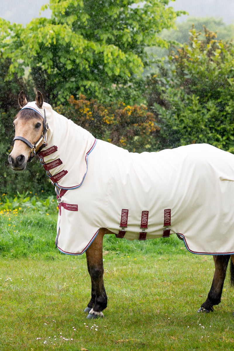 Rambo Pony Hoody Sand/Cherry, Peach and Blue