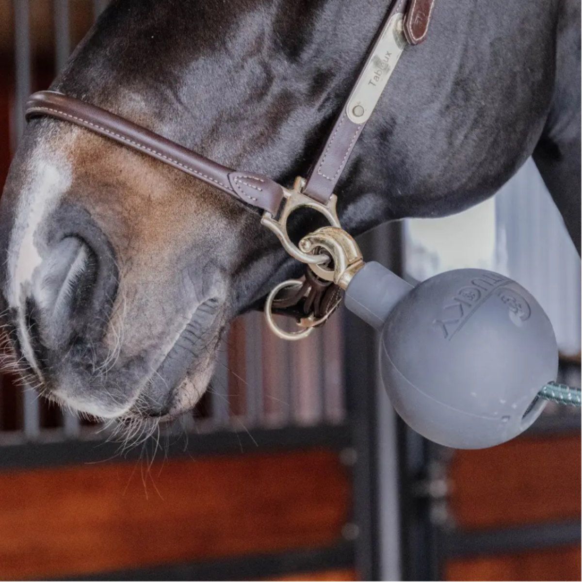 Kentucky Horsewear Rubber Ball Wall & Lead Protector Grey