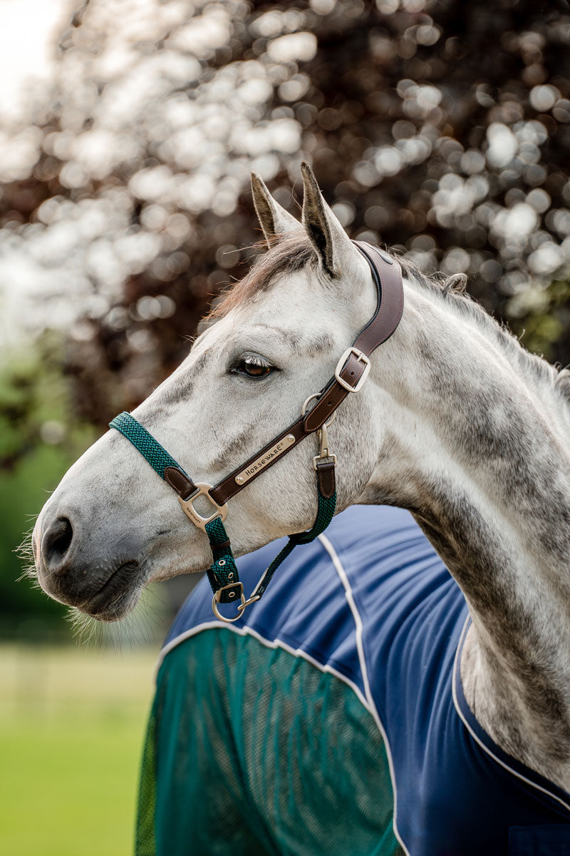 Horseware Signature Braided Headcollar Brown/Navy & Hunter Green