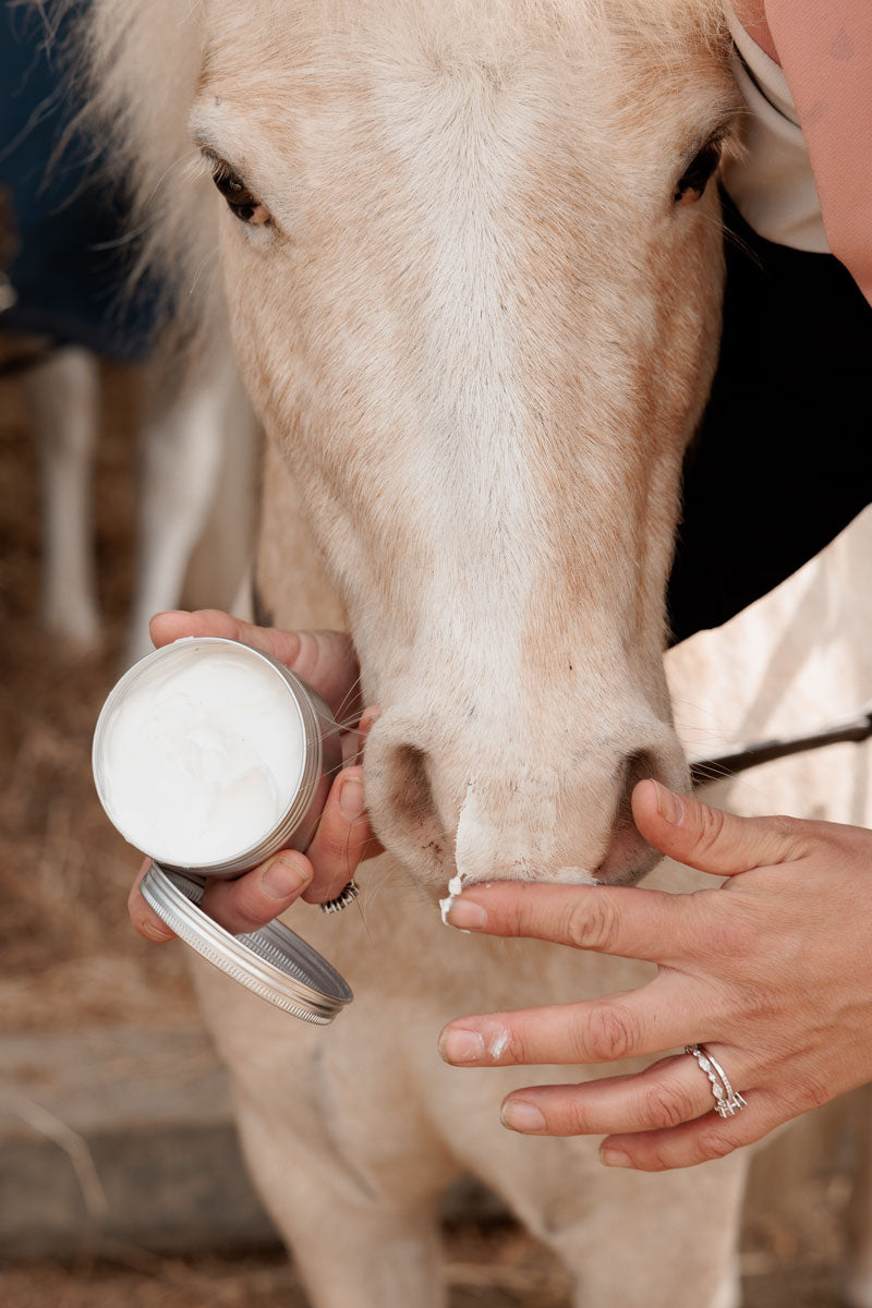 Grooming Deluxe Sunblock 150g