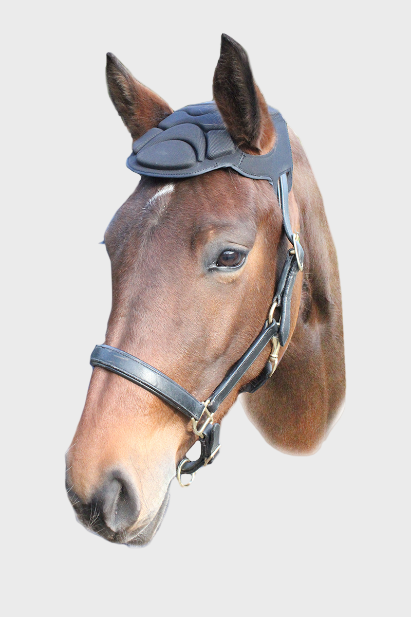 Woof Wear Poll Guard Black