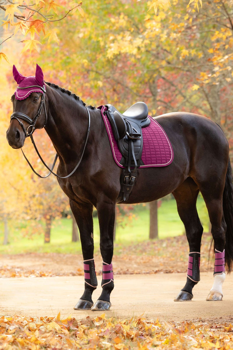 LeMieux Suede Dressage Square Blackberry 