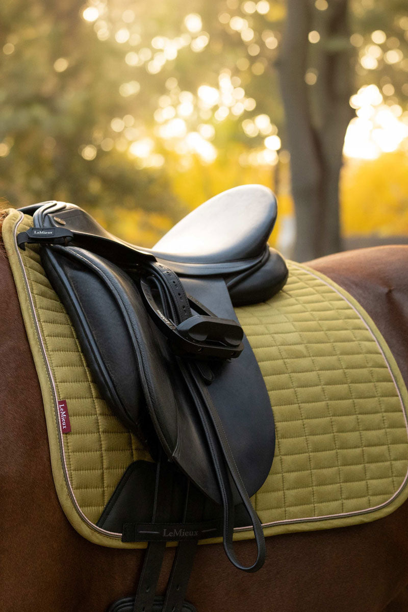 LeMieux Suede Dressage Square