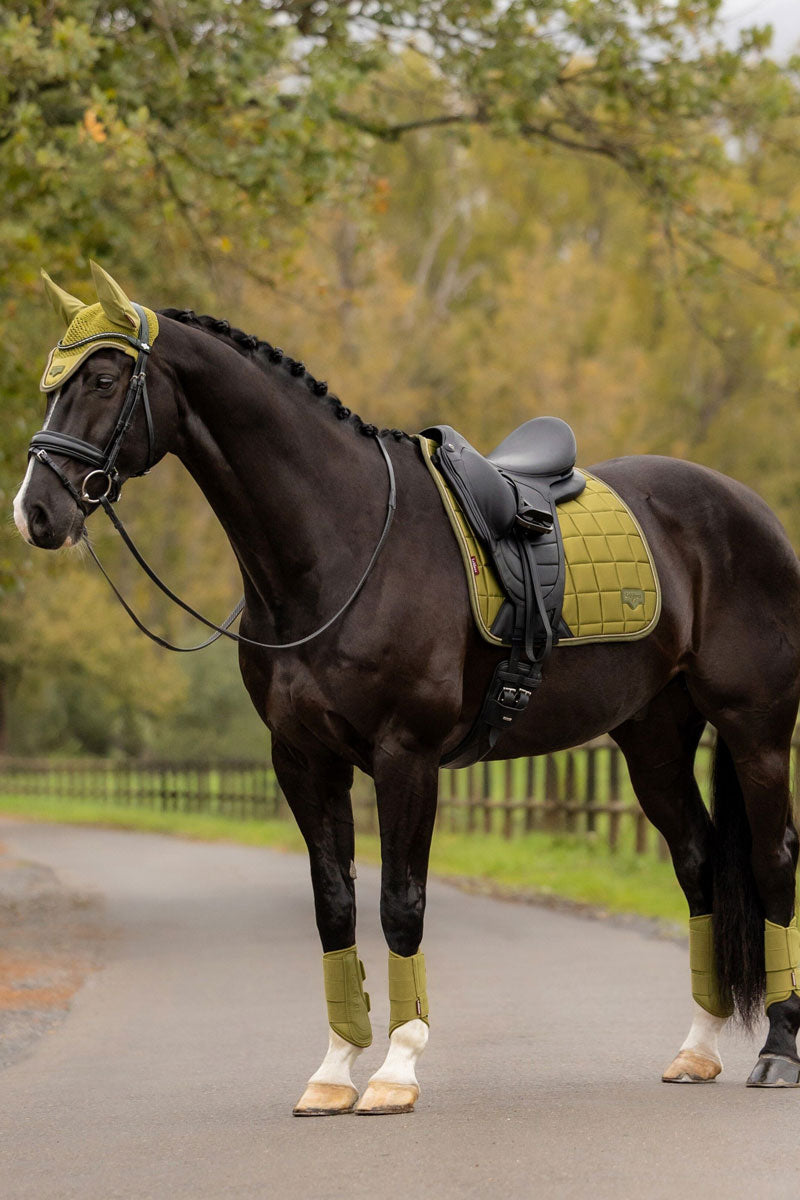 LeMieux Loire Classic Dressage Saddle Pad Gooseberry