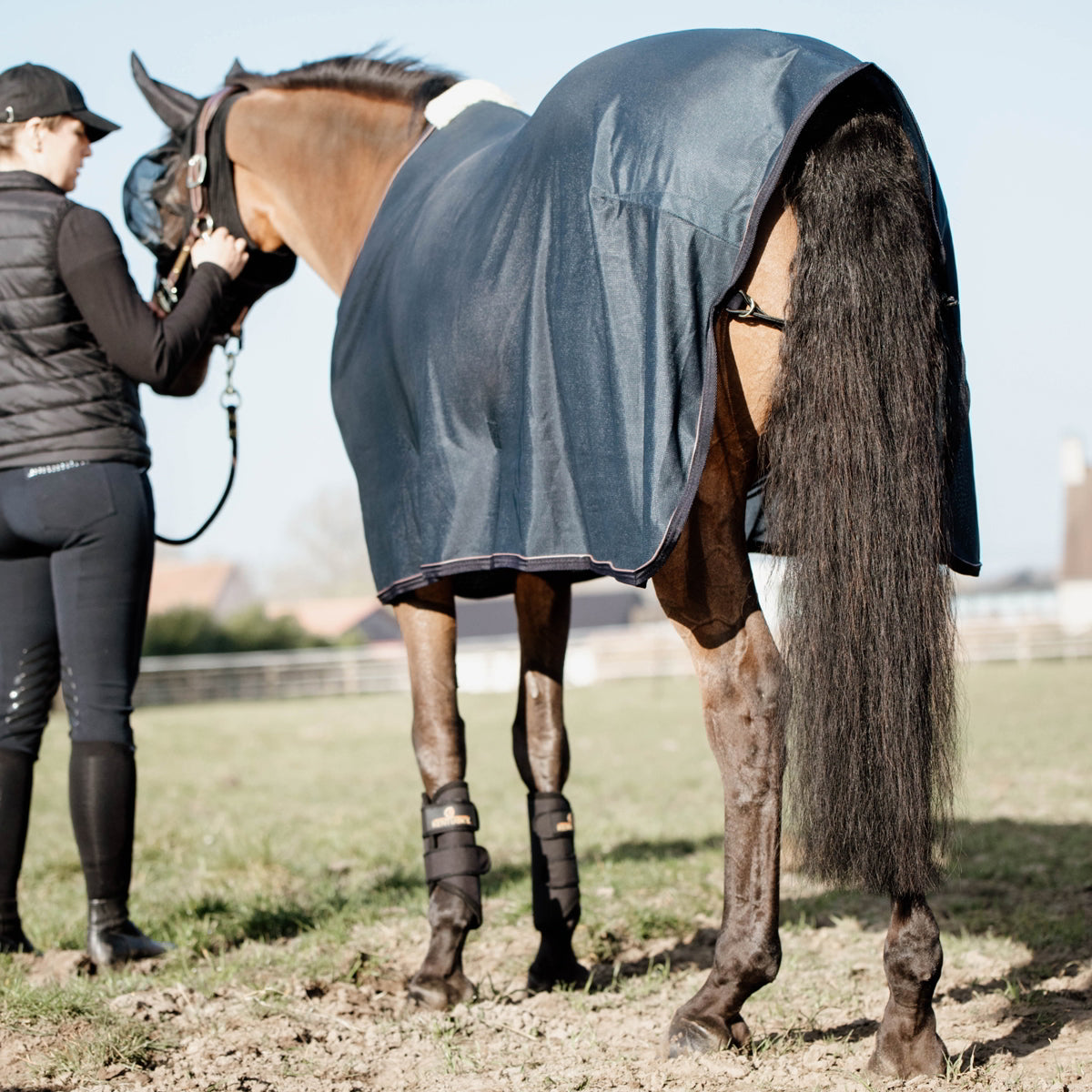 Kentucky Horsewear Mesh Fly Sheet