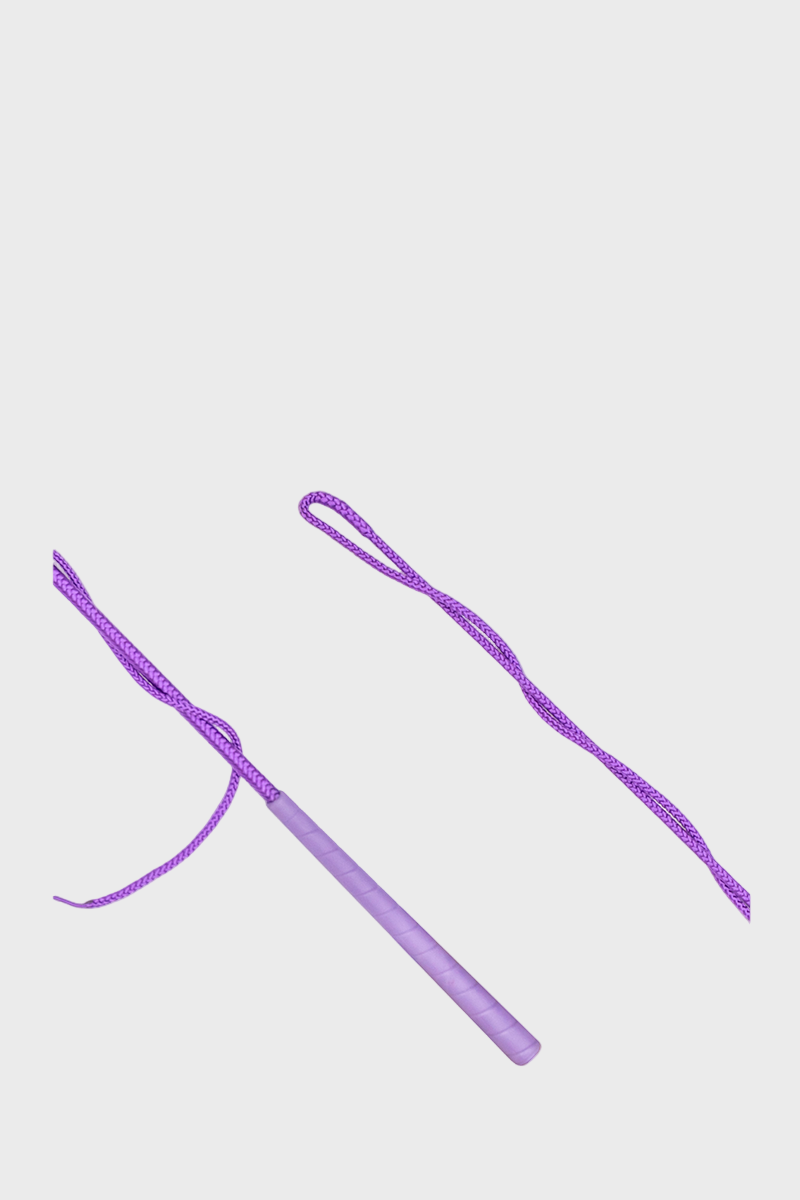 Country Direct Country Lunge Whip - Purple
