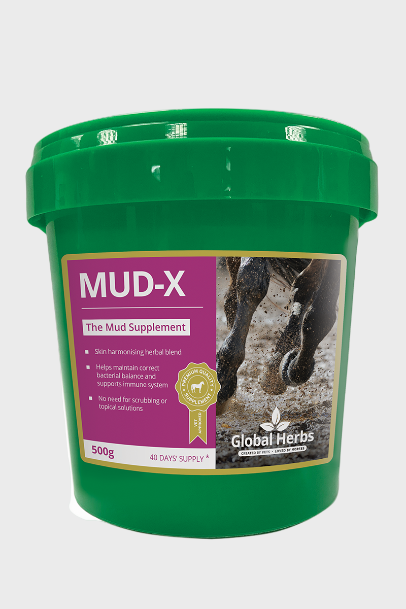 Global Herbs Mud-X 500g