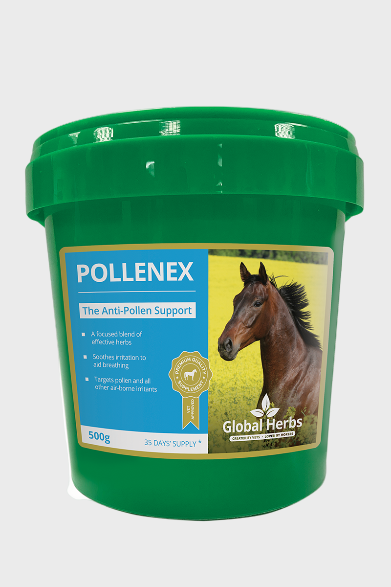 Global Herbs Pollenex 500g