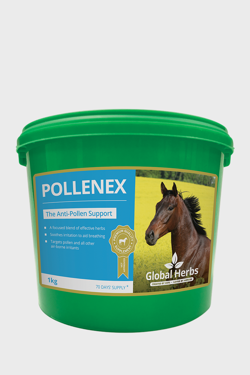 Global Herbs Pollenex 1kg