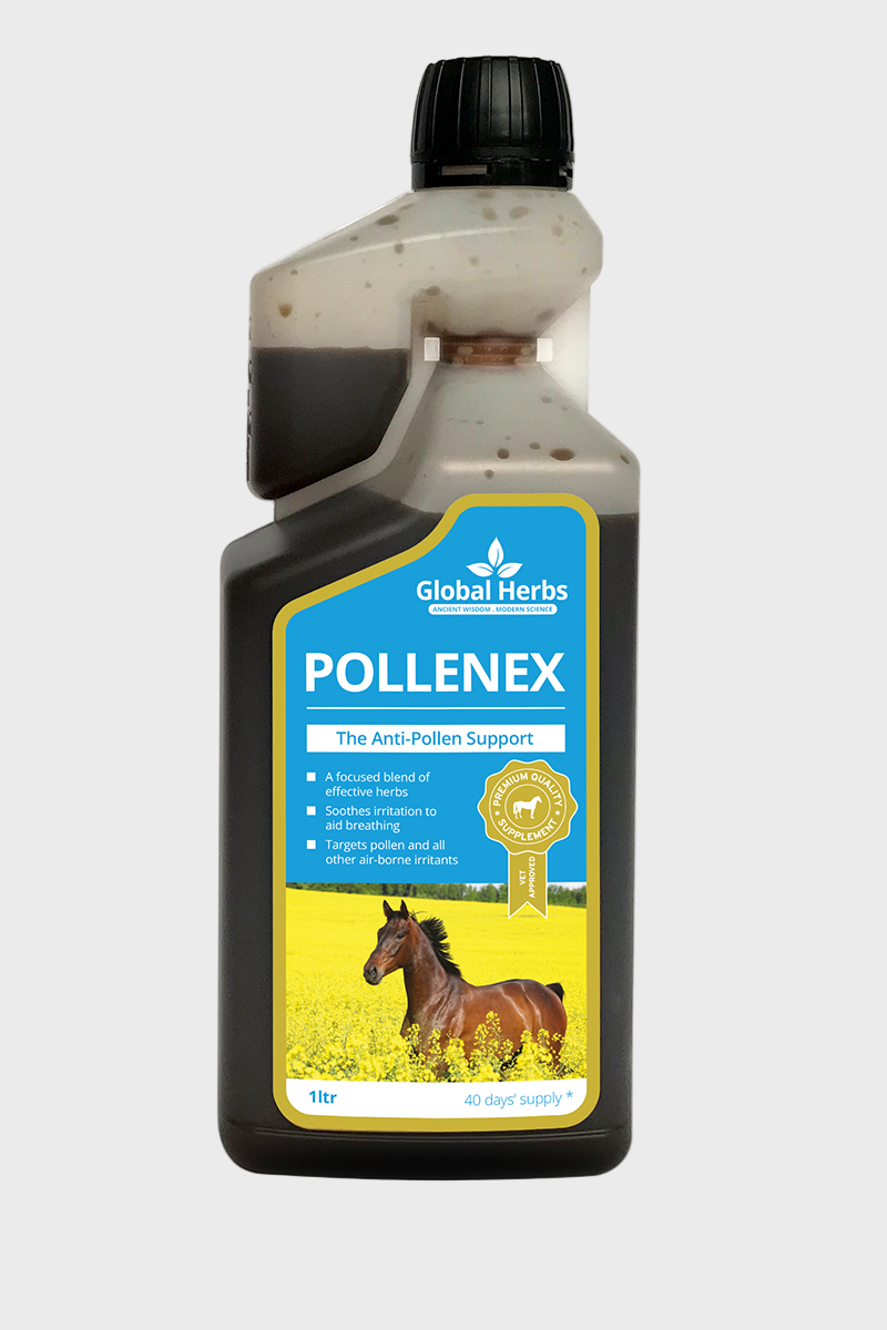 Global Herbs Pollenex Liquid 1L