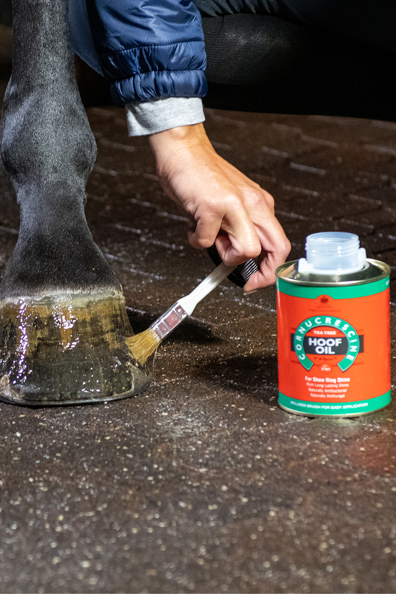 Carr & Day & Martin Tea Tree Hoof Oil 500ml