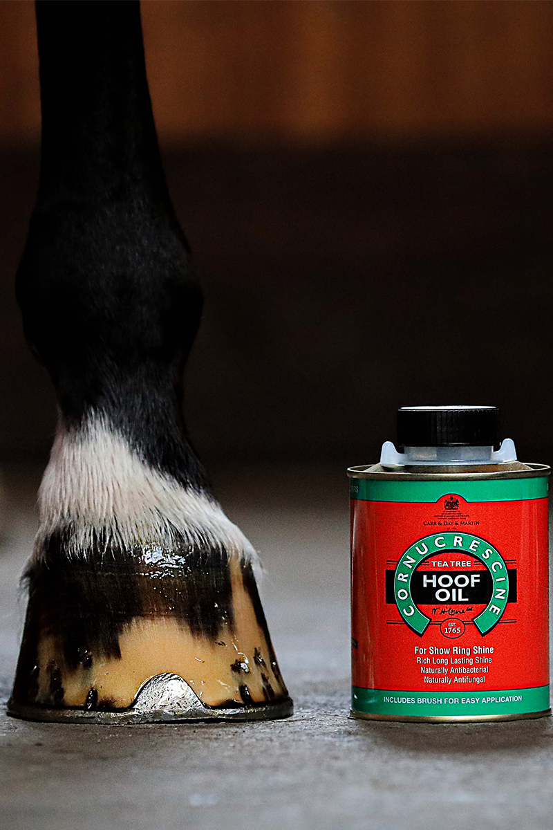 Carr & Day & Martin Tea Tree Hoof Oil 500ml