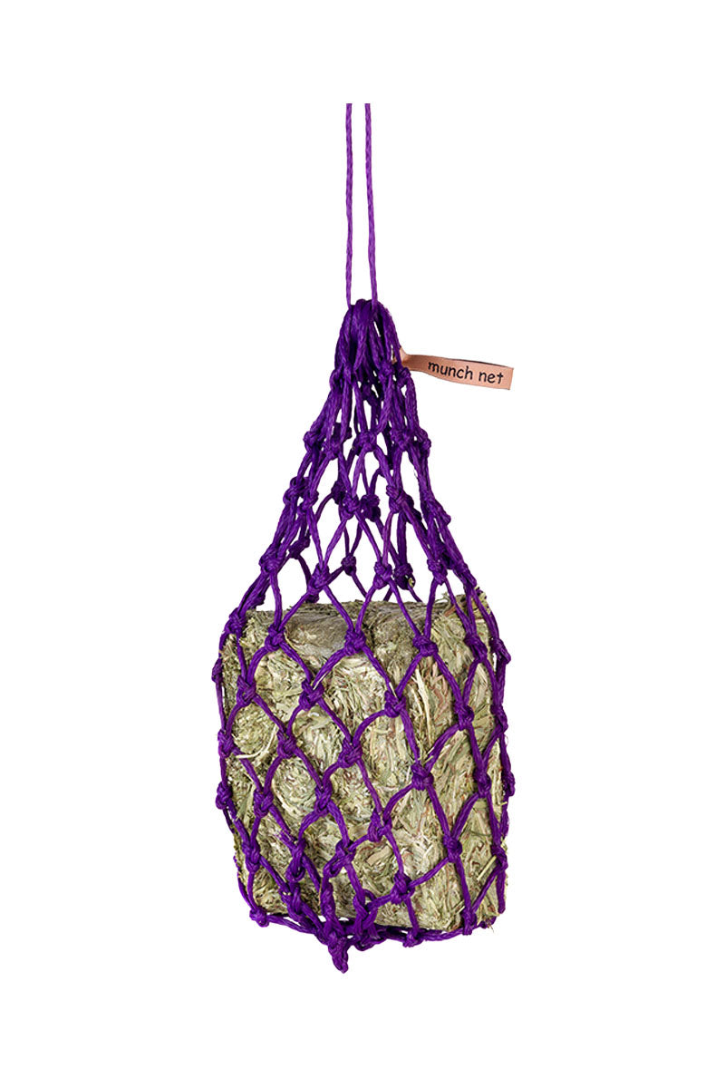 Equilibrium Munch Net