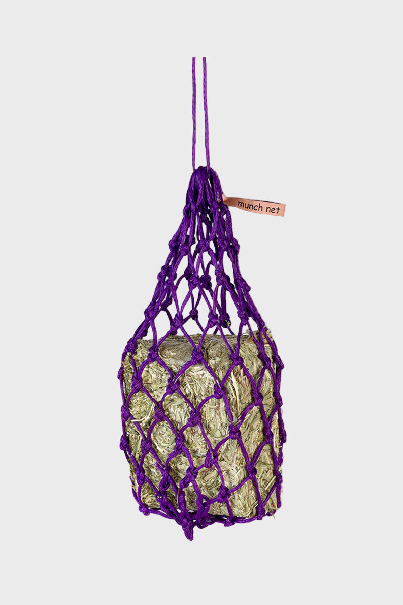 Equilibrium Munch Net Purple