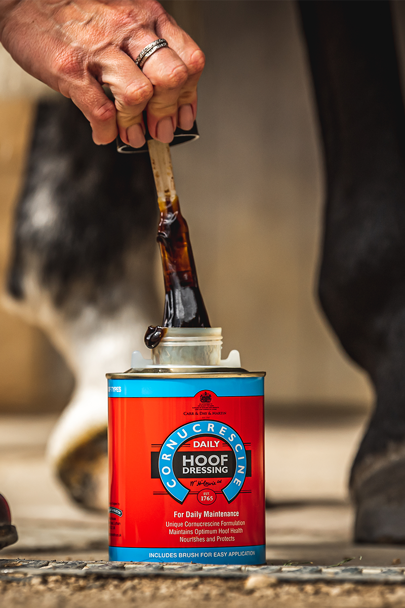 Carr & Day & Martin Cornucrescine Daily Hoof Dressing 500ml