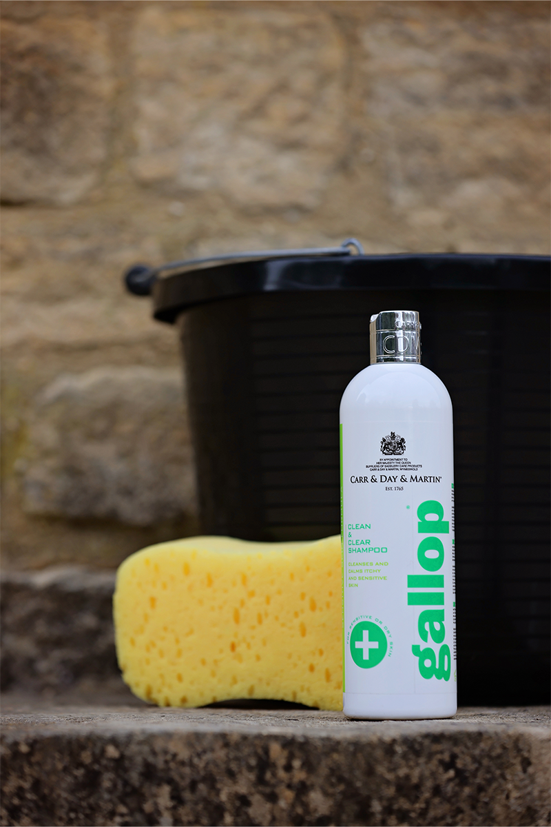 Carr & Day & Martin Gallop Medicated Shampoo 500ml
