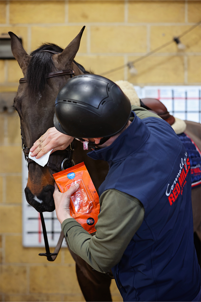 Carr & Day & Martin Belvoir Tack Cleaner Mitts