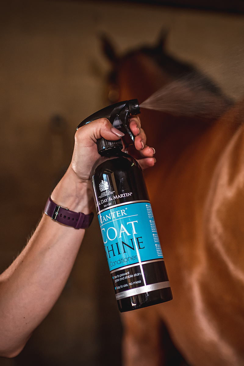 Carr & Day & Martin Canter Coat Shine 500ml