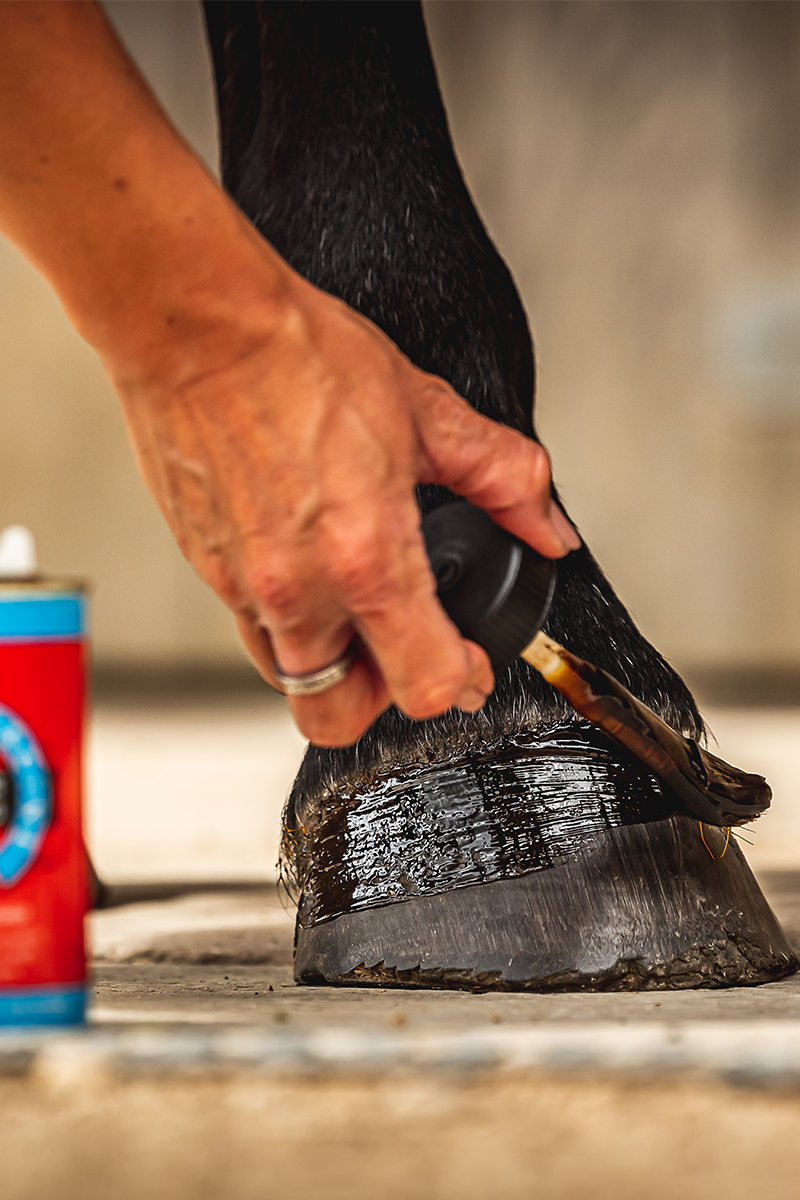 Carr & Day & Martin Cornucrescine Daily Hoof Dressing 500ml