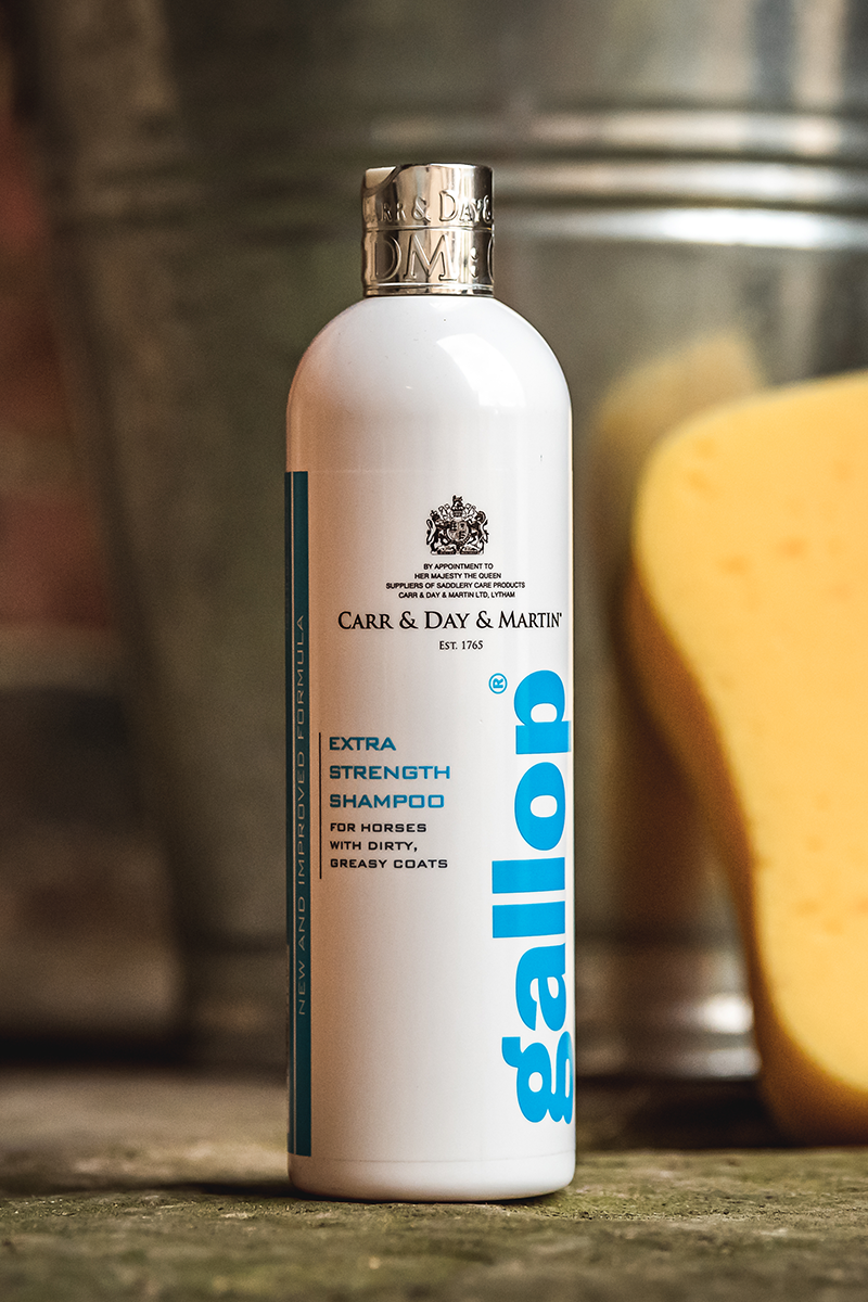 Carr & Day & Martin Gallop Extra Strength Shampoo 500ml