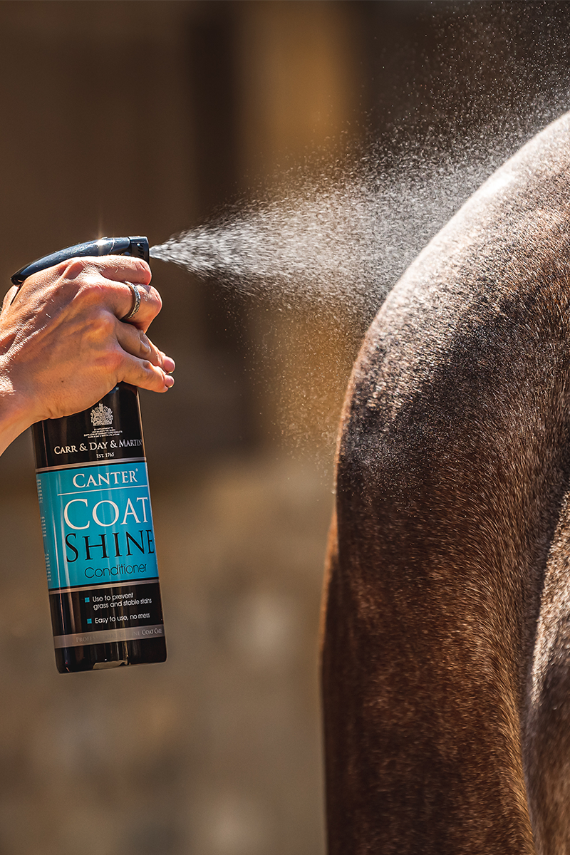 Carr & Day & Martin Canter Coat Shine 500ml