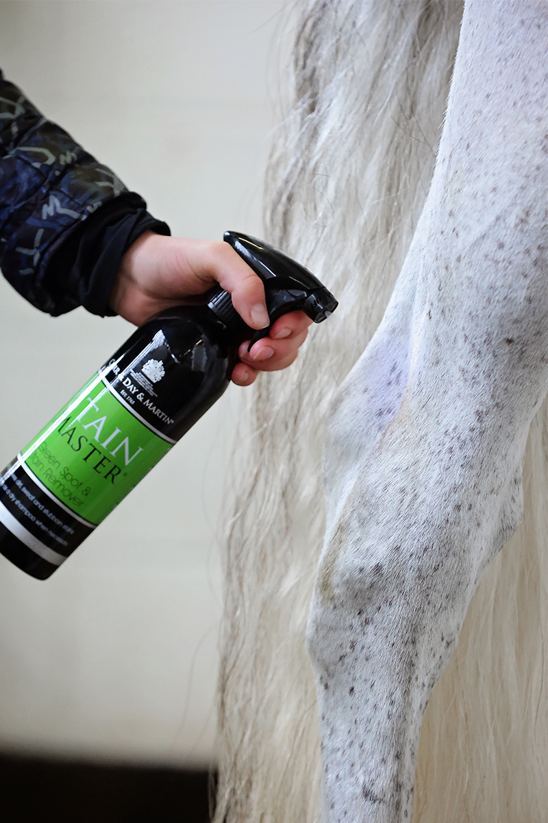 Carr & Day & Martin Stain Master 500ml