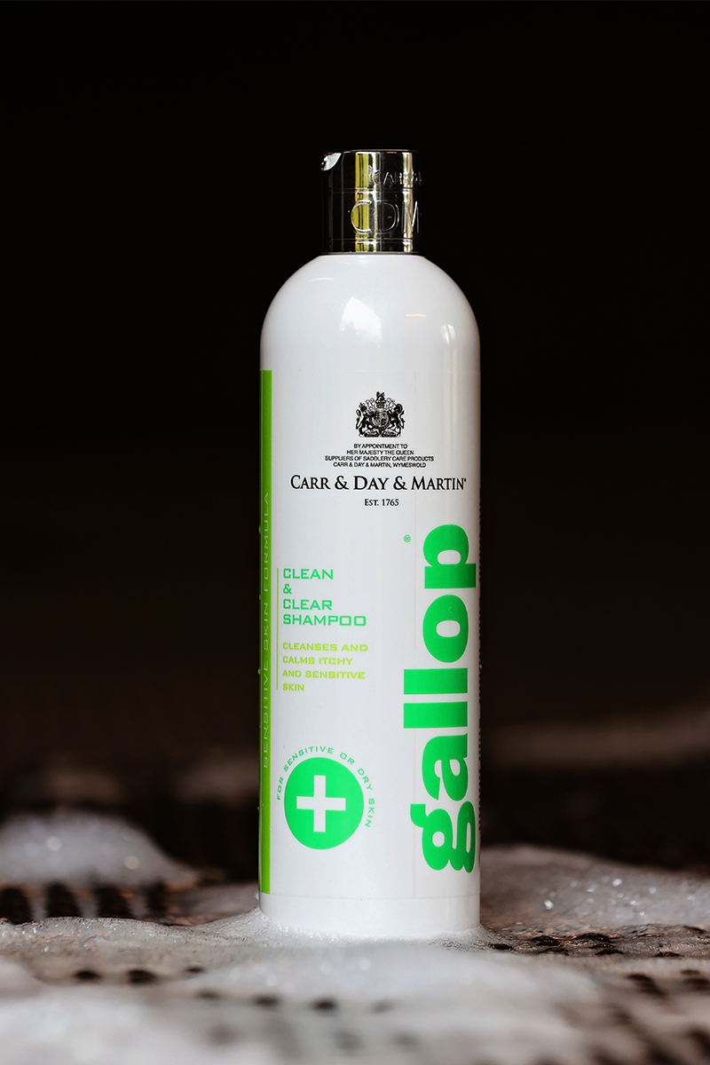Carr & Day & Martin Gallop Medicated Shampoo 500ml