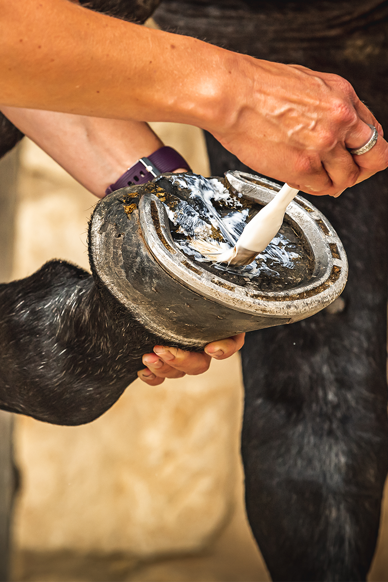 Carr & Day & Martin Cornucrescine Daily Hoof Moisturiser 500ml